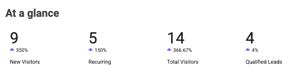 Summary metrics showing 9 new visitors, 5 recurring visitors, 14 total visitors, and 4 qualified leads.